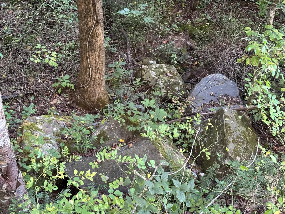 Lot 8 Madison Lane Robbinsville, NC 28771