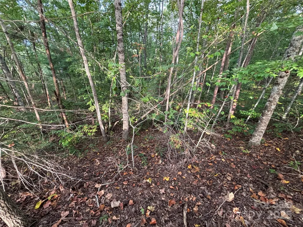 Lot 8 Madison Lane Robbinsville, NC 28771