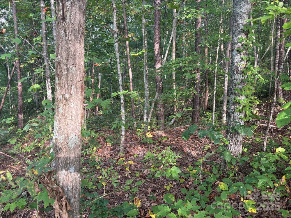 Lot 8 Madison Lane Robbinsville, NC 28771