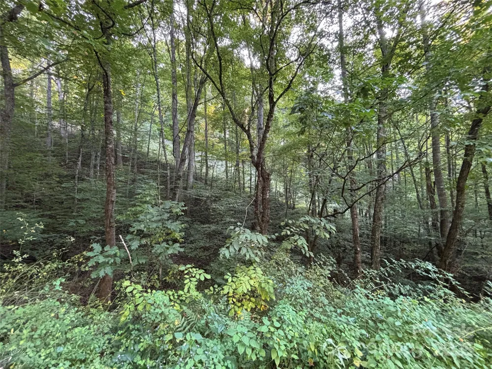 Lot 8 Madison Lane Robbinsville, NC 28771