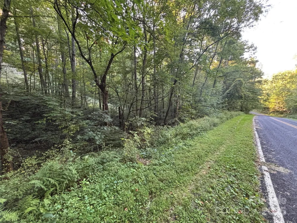 Lot 8 Madison Lane Robbinsville, NC 28771
