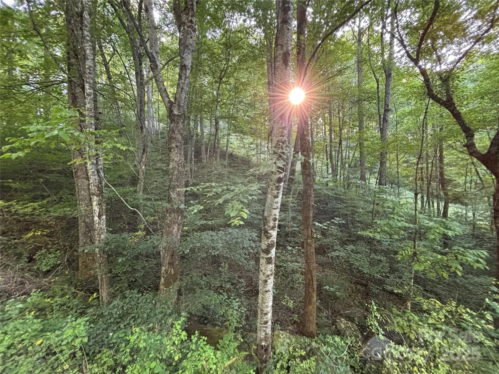 Lot 8 Madison Lane Robbinsville, NC 28771