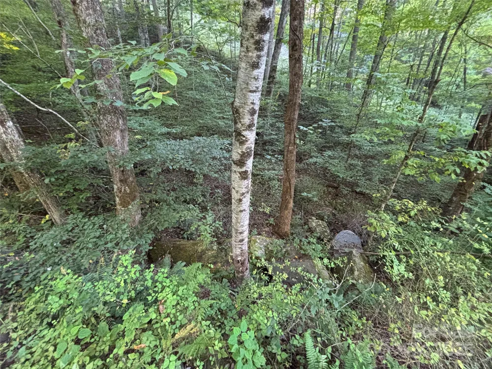Lot 8 Madison Lane Robbinsville, NC 28771