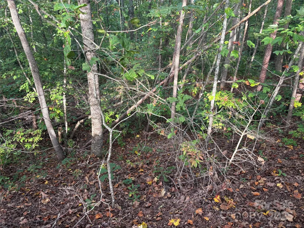 Lot 8 Madison Lane Robbinsville, NC 28771