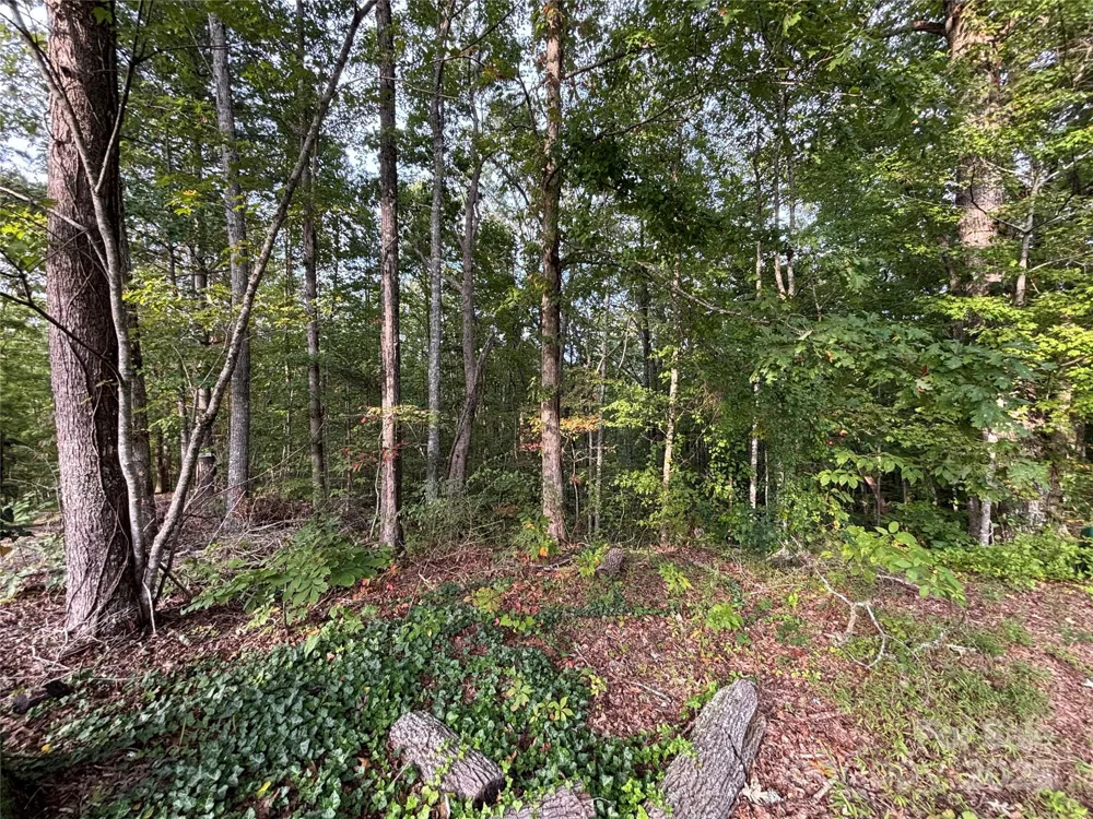 Lot 8 Madison Lane Robbinsville, NC 28771
