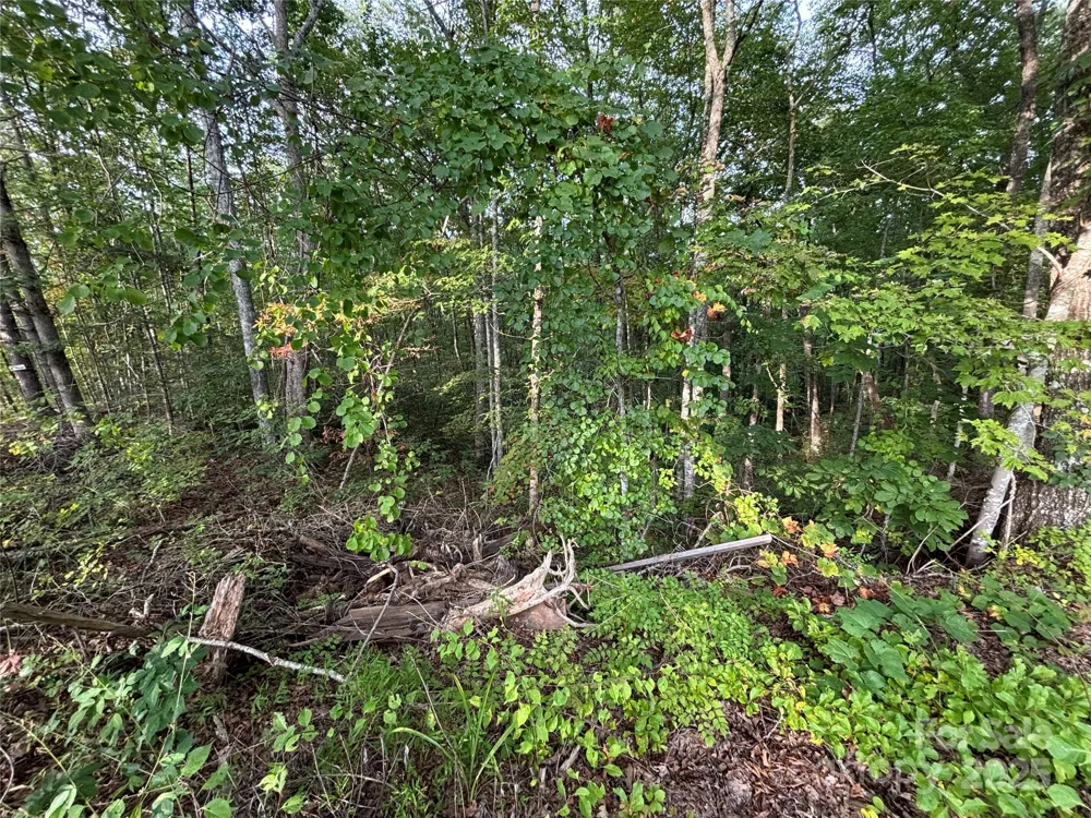 Lot 8 Madison Lane Robbinsville, NC 28771