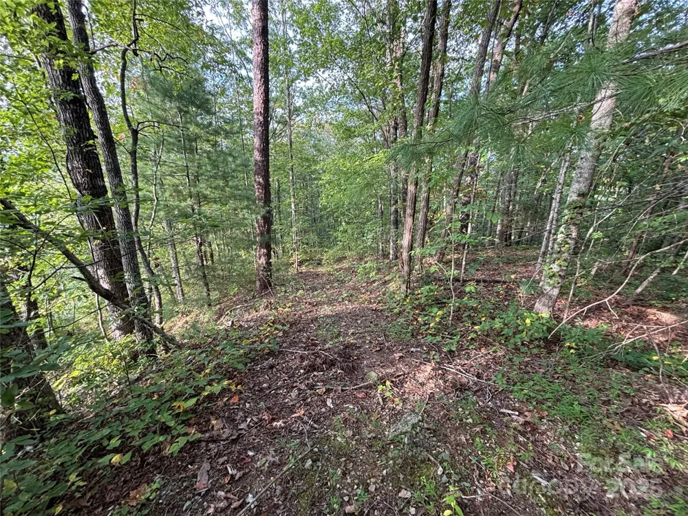 Lot 7 Madison Lane Robbinsville, NC 28771