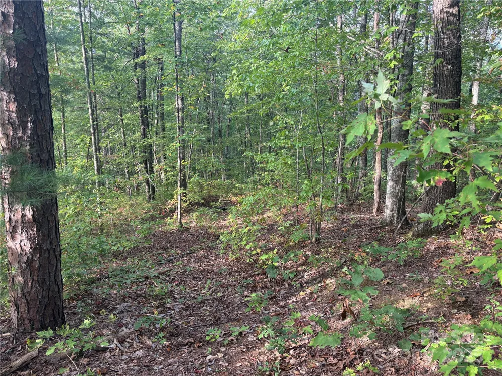 Lot 7 Madison Lane Robbinsville, NC 28771
