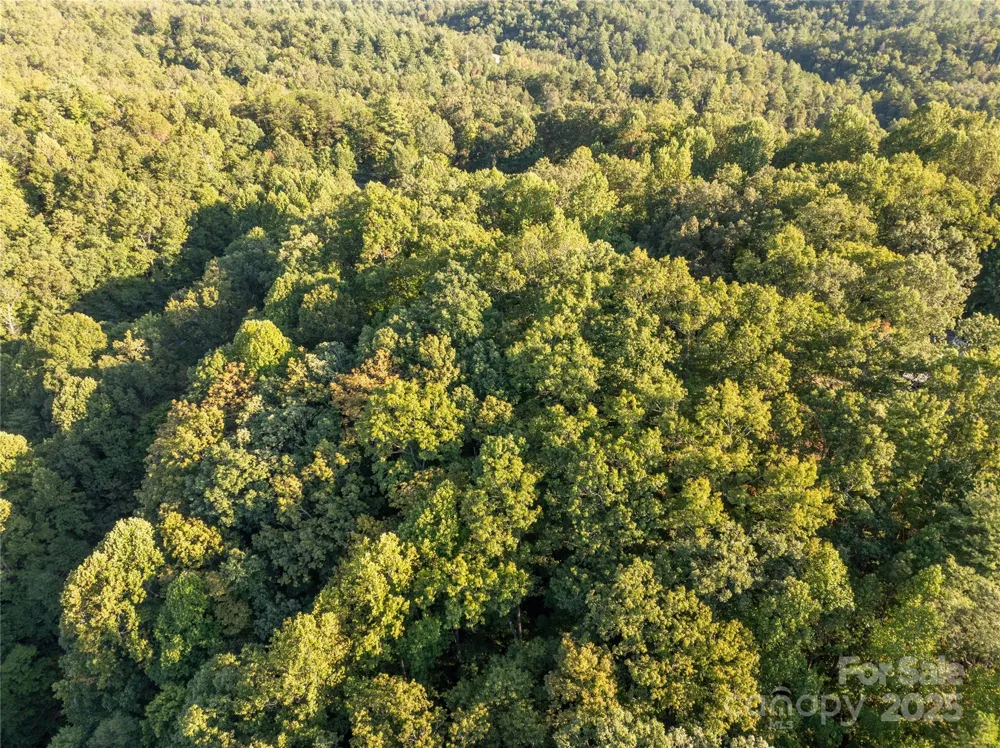 Lot 7 Madison Lane Robbinsville, NC 28771