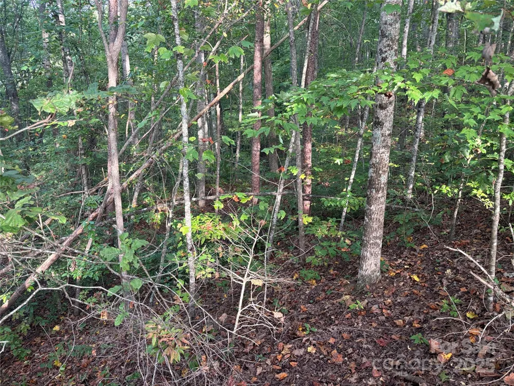 Lot 7 Madison Lane Robbinsville, NC 28771