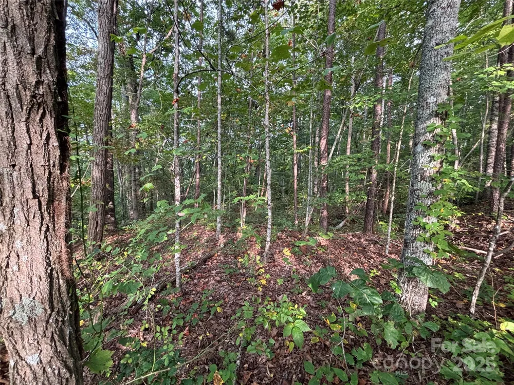 Lot 7 Madison Lane Robbinsville, NC 28771
