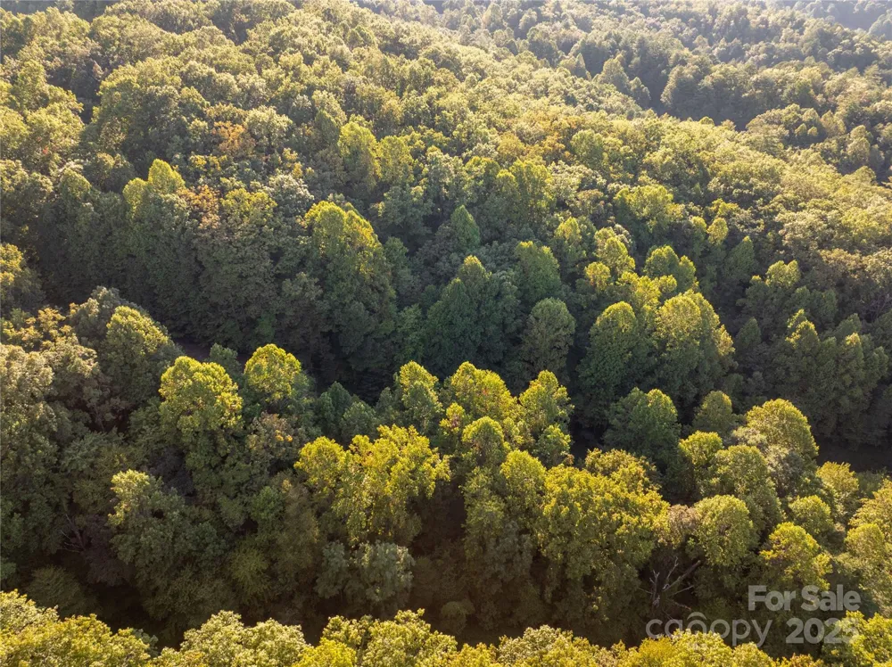 Lot 7 Madison Lane Robbinsville, NC 28771