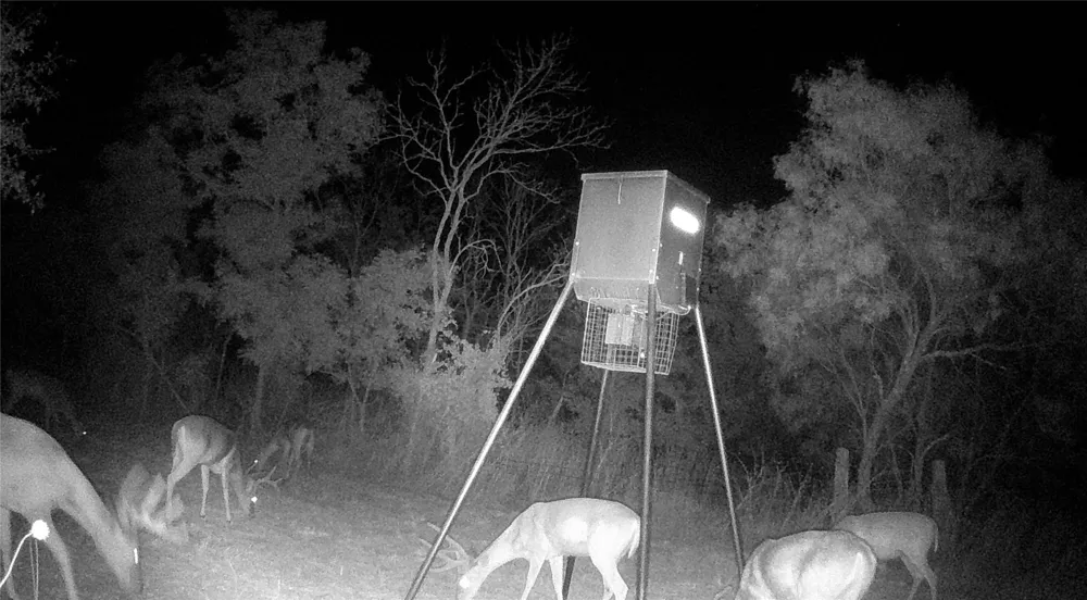 21255 FM 580 W Bend, TX 76824