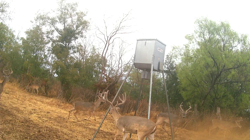 21255 FM 580 W Bend, TX 76824
