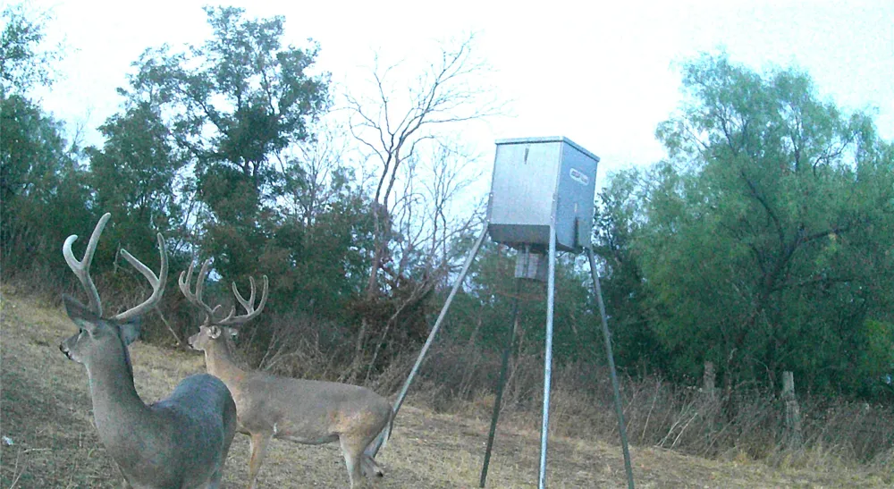 21255 FM 580 W Bend, TX 76824
