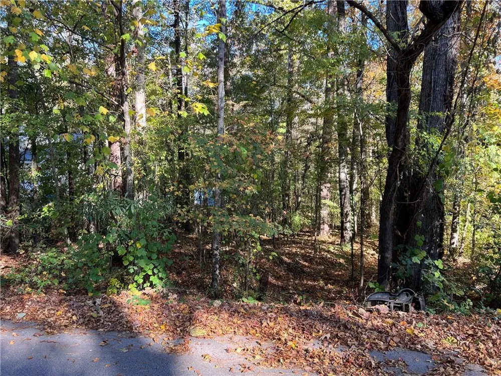130 Valley Drive Stockbridge, GA 30281