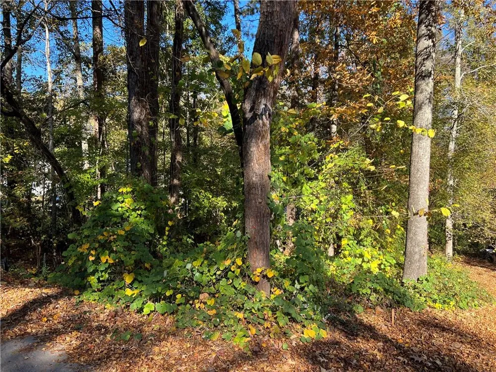 130 Valley Drive Stockbridge, GA 30281