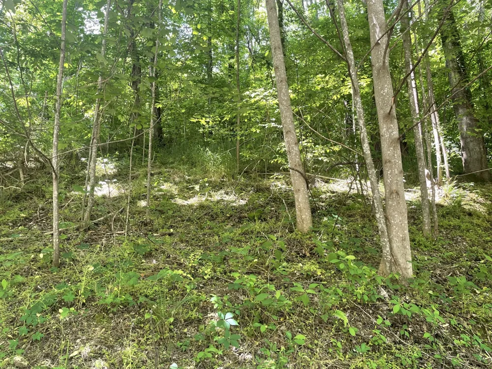 0 Harbor Dr Lancaster, TN 38569