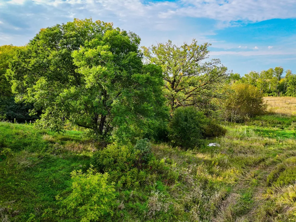 34774 400th Street SE Fosston, MN 56542