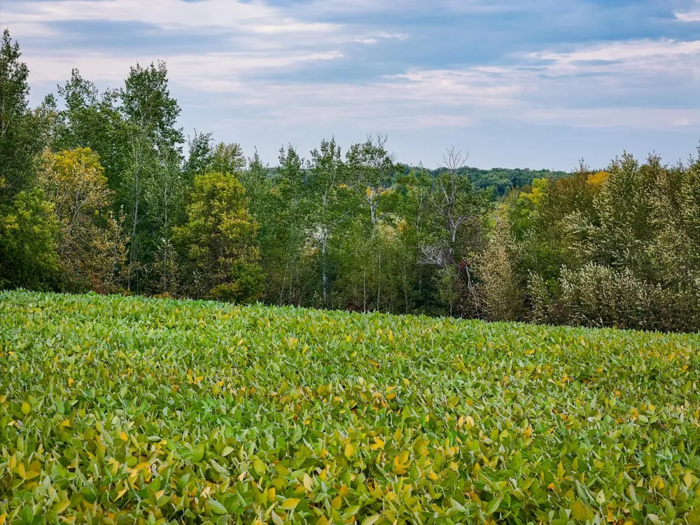 34774 400th Street SE Fosston, MN 56542