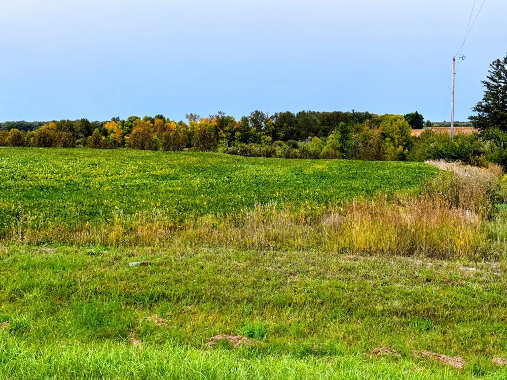 34774 400th Street SE Fosston, MN 56542