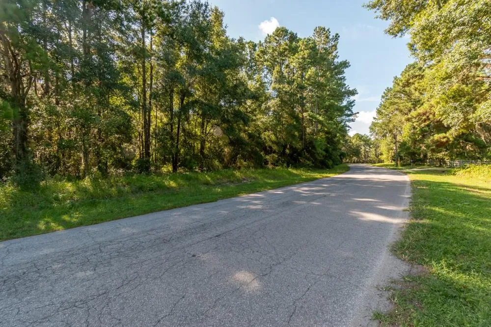 TBD NW 88TH AVENUE RD Reddick, FL 32686