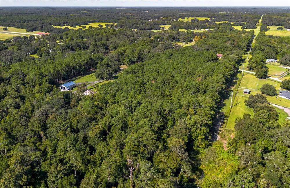 TBD NW 88TH AVENUE RD Reddick, FL 32686