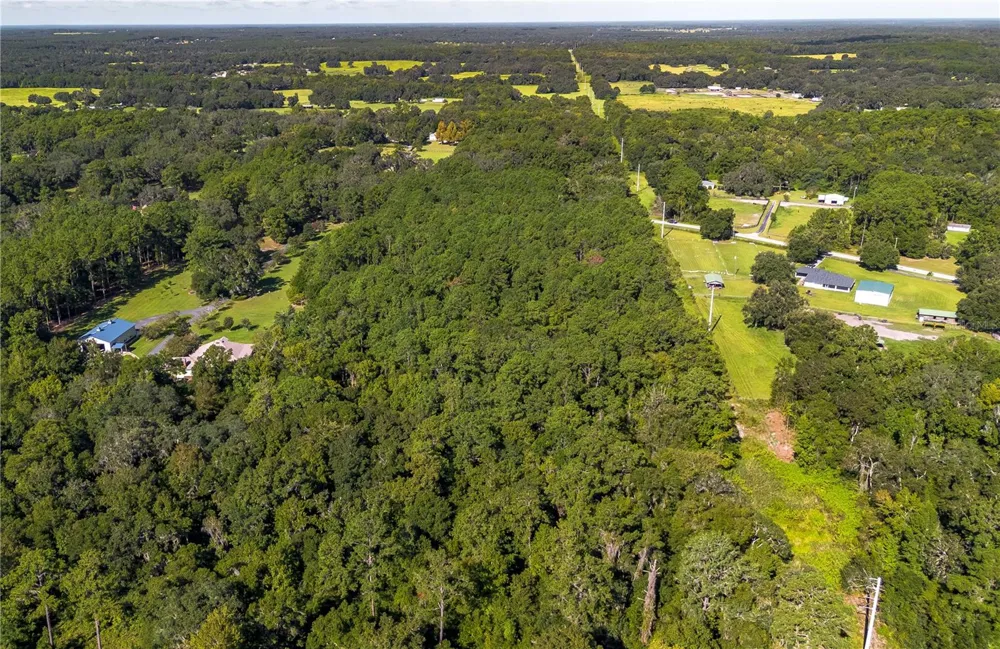 TBD NW 88TH AVENUE RD Reddick, FL 32686