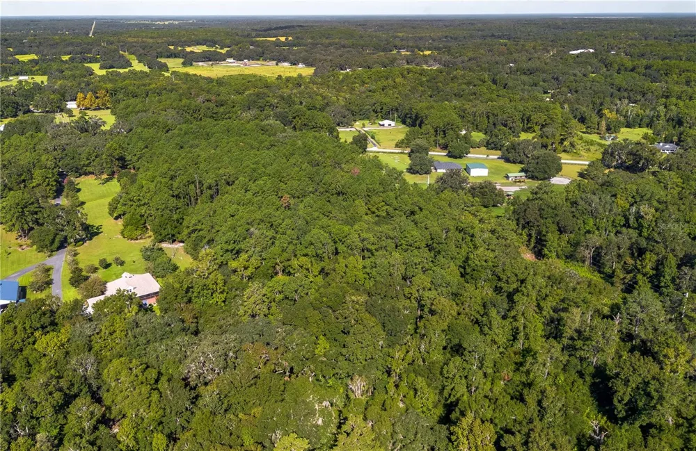 TBD NW 88TH AVENUE RD Reddick, FL 32686
