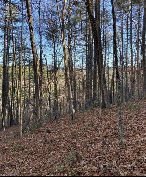 TBD Lots 1 & 2 Toe River Lane