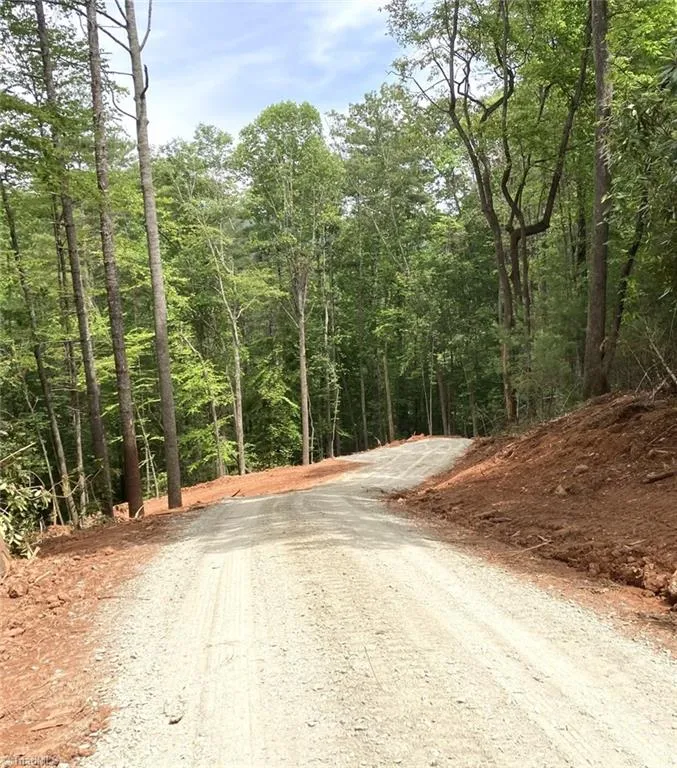 TBD Lots 1 & 2 Toe River Lane Newland, NC 28657