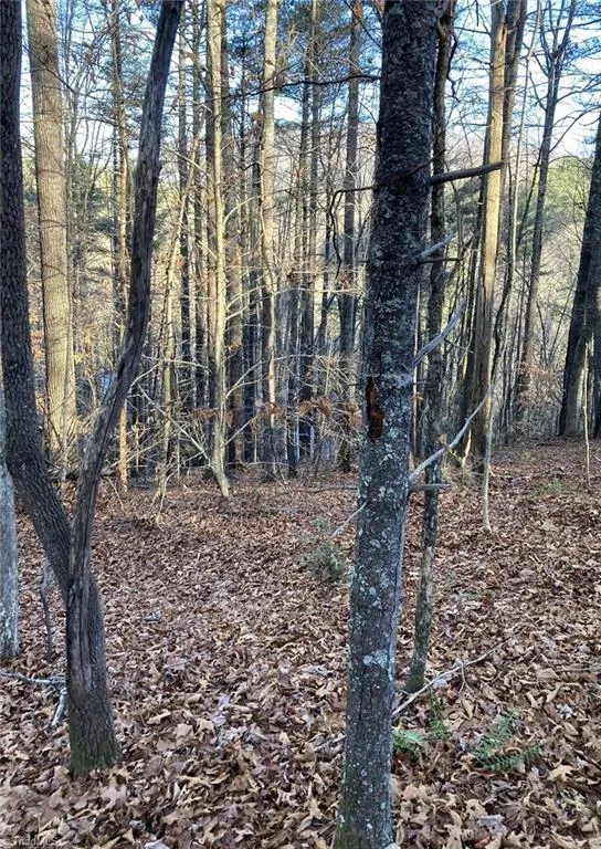 TBD Lots 1 & 2 Toe River Lane Newland, NC 28657