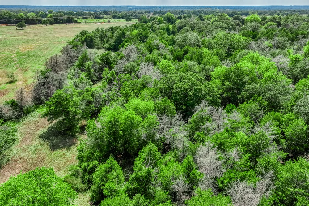 8671 County Road 324 Caldwell, TX 77836