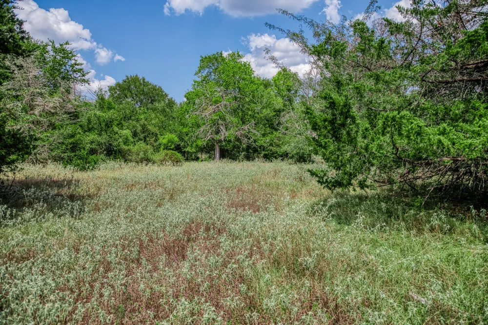 8671 County Road 324 Caldwell, TX 77836