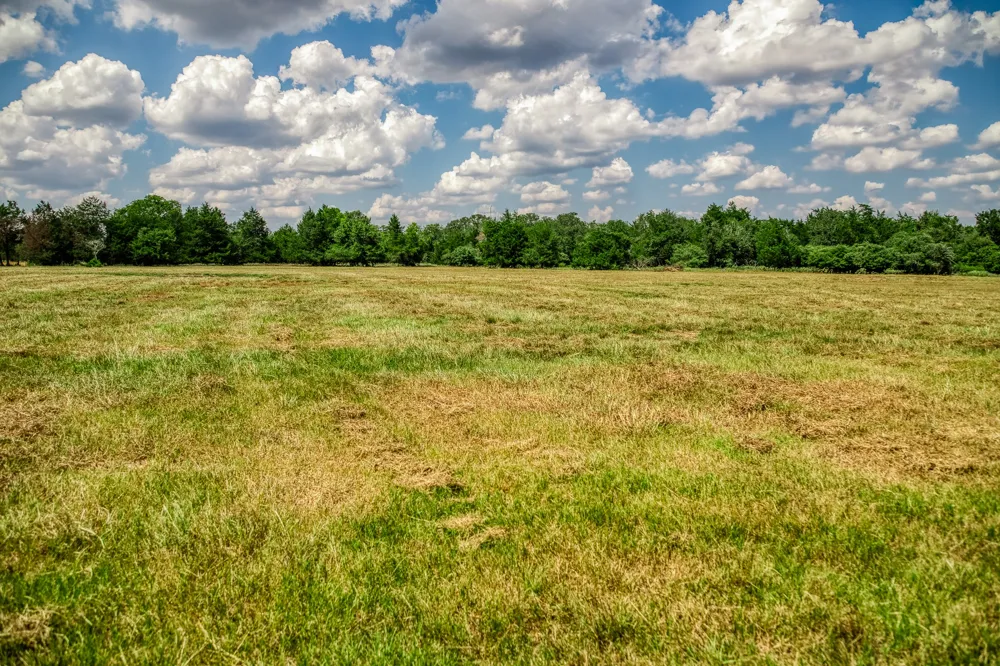 8671 County Road 324 Caldwell, TX 77836