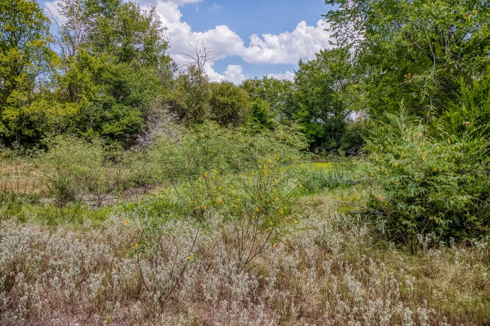 8671 County Road 324 Caldwell, TX 77836