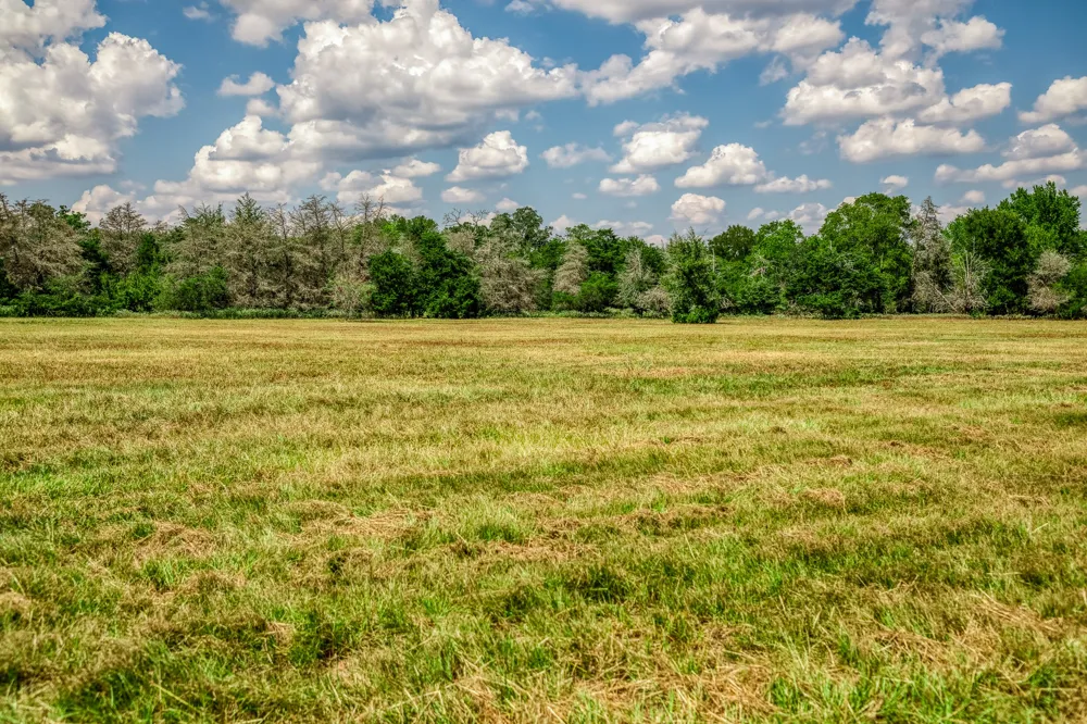 8671 County Road 324 Caldwell, TX 77836