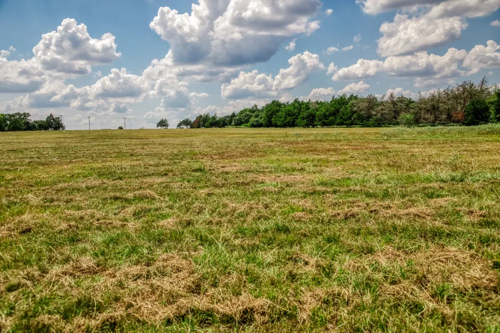 8671 County Road 324 Caldwell, TX 77836