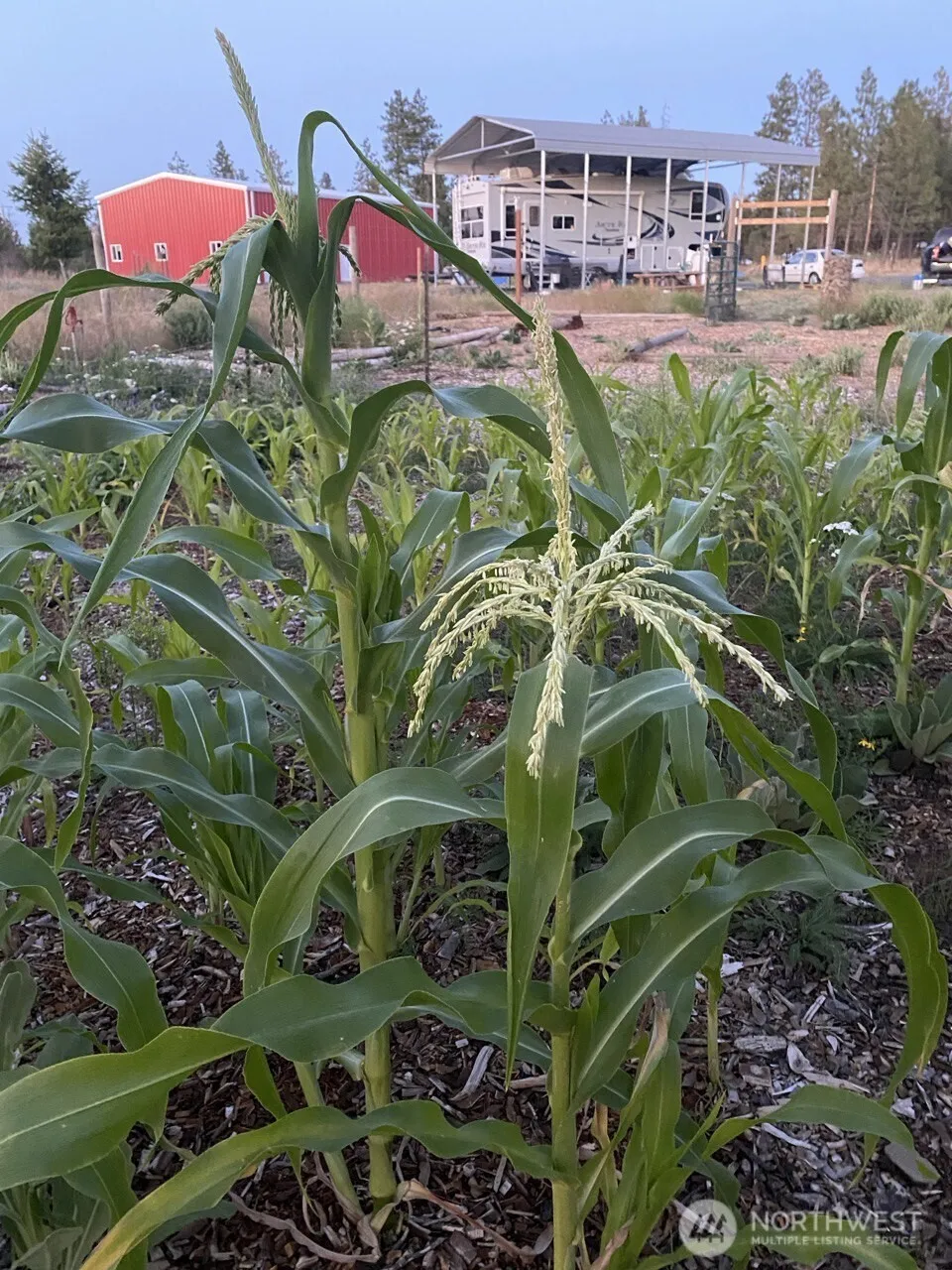 35000 Miles Creston Road Creston, WA 99117
