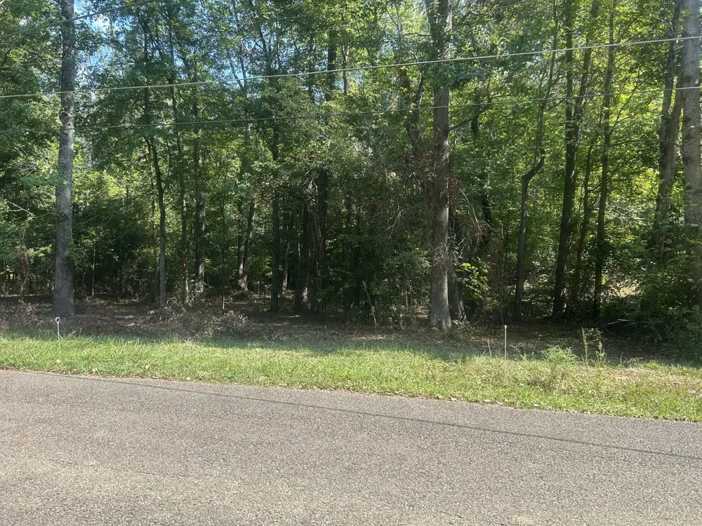 0 Asbury Rd Camden, TN 38320