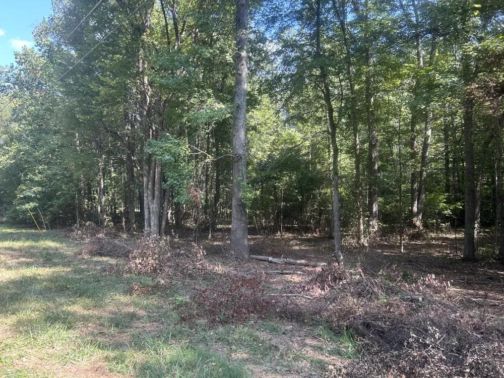 0 Asbury Rd Camden, TN 38320