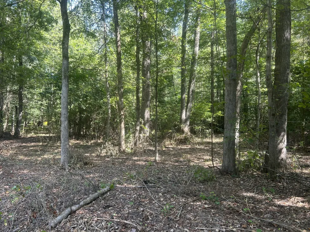 0 Asbury Rd Camden, TN 38320