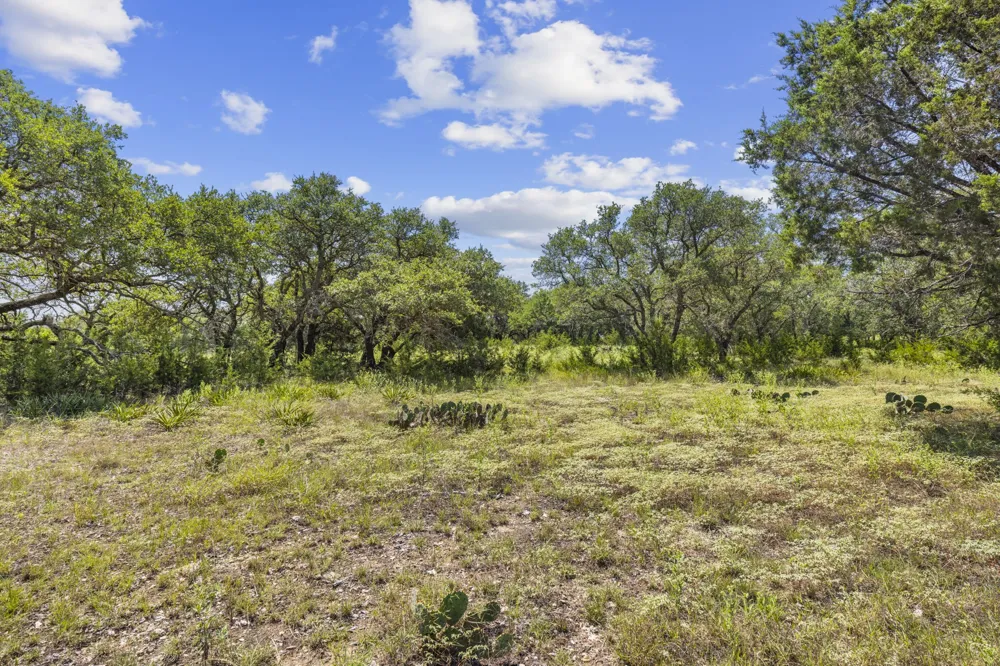 Heartleaf Lampasas, TX 76550