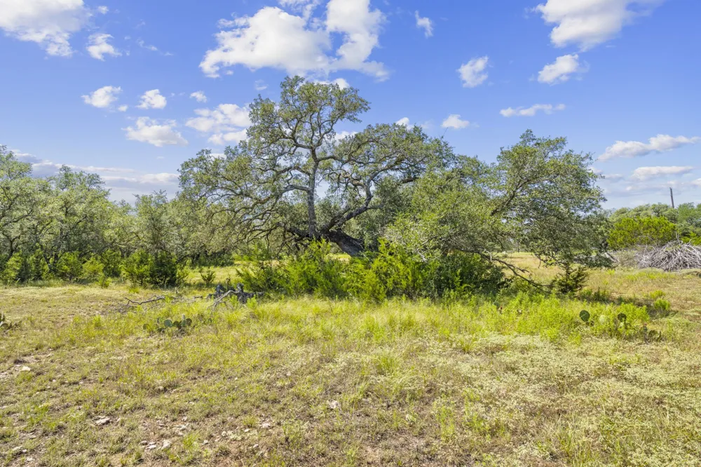 Heartleaf Lampasas, TX 76550