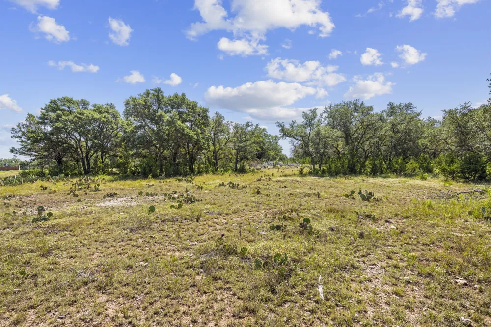 Heartleaf Lampasas, TX 76550