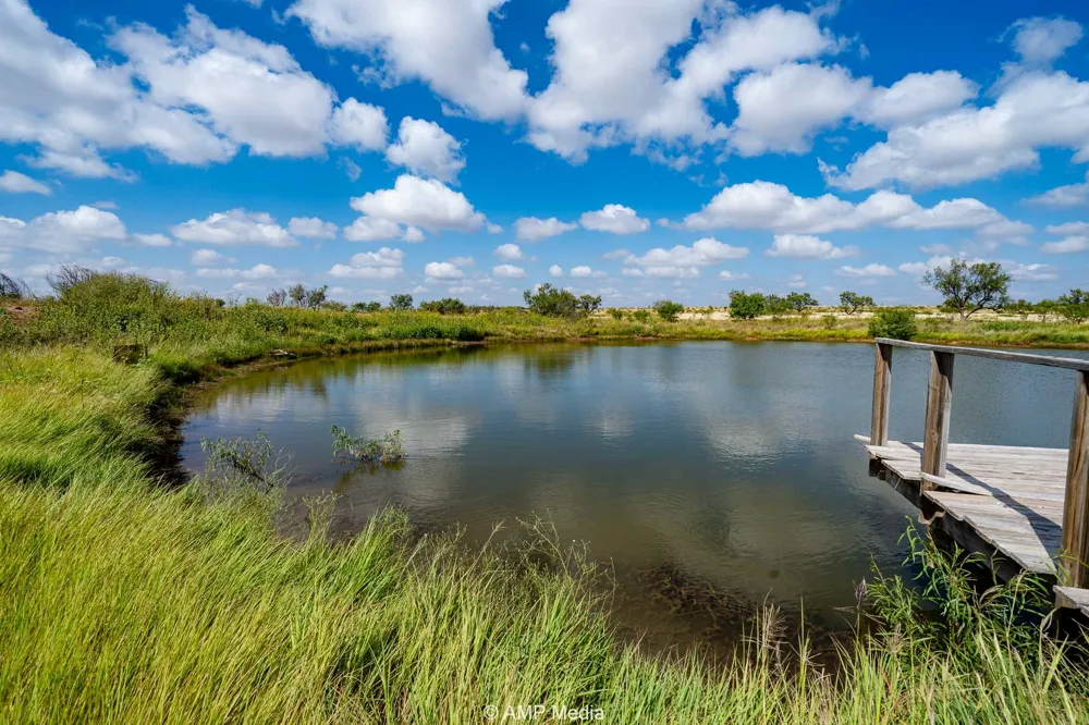 12100 E US Highway 180 Hermleigh, TX 79526