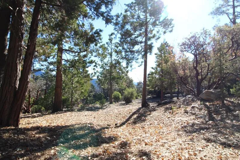 Gibbs-Gully Idyllwild, CA 92549