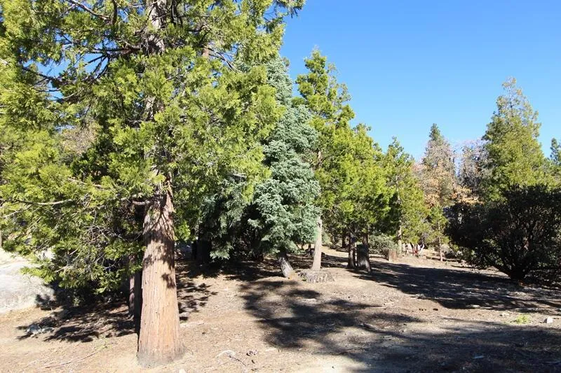 Gibbs-Gully Idyllwild, CA 92549
