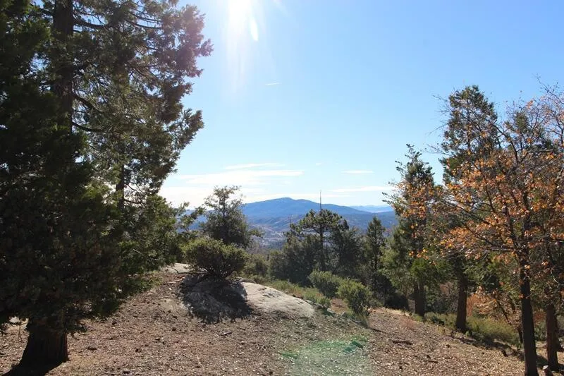 Gibbs-Gully Idyllwild, CA 92549