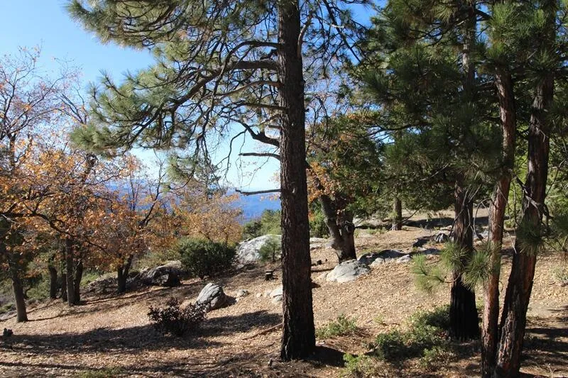Gibbs-Gully Idyllwild, CA 92549